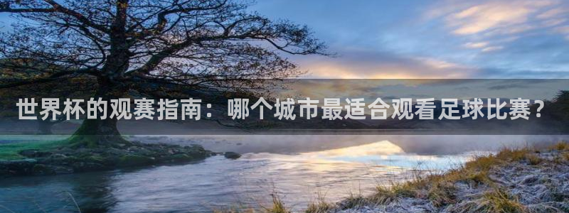 2026世界杯赛程表完整版:世界杯的观赛指南:哪个城市最适合观看足球比赛?