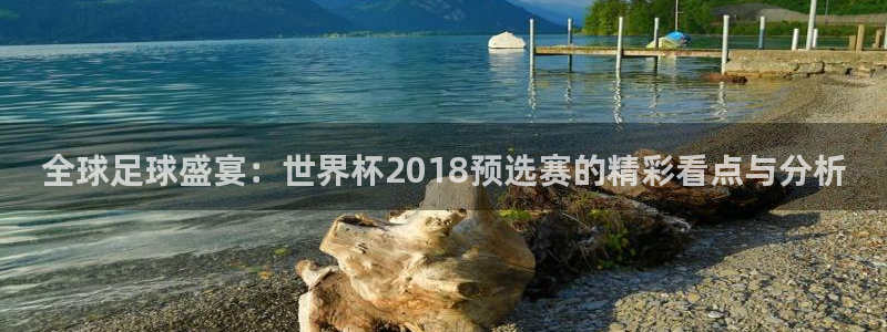 世界杯预选赛直播:全球足球盛宴:世界杯2018预选赛的精彩看点与分析